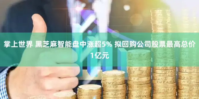 掌上世界 黑芝麻智能盘中涨超5% 拟回购公司股票最高总价1亿元