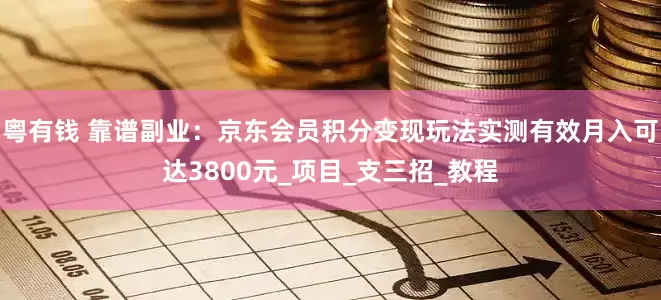 粤有钱 靠谱副业：京东会员积分变现玩法实测有效月入可达3800元_项目_支三招_教程