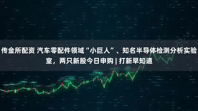 传金所配资 汽车零配件领域“小巨人”、知名半导体检测分析实验室，两只新股今日申购 | 打新早知道