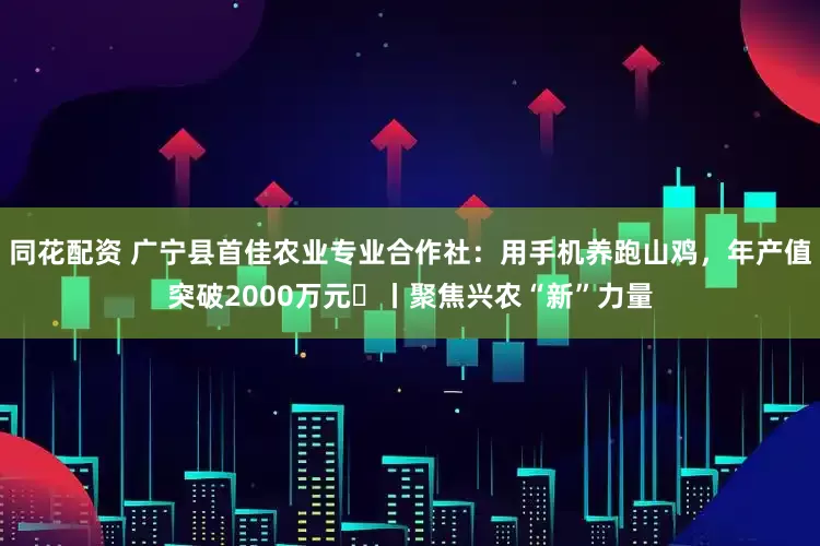 同花配资 广宁县首佳农业专业合作社：用手机养跑山鸡，年产值突破2000万元㉓丨聚焦兴农“新”力量