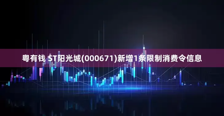 粤有钱 ST阳光城(000671)新增1条限制消费令信息