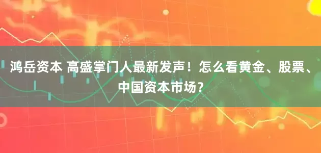 鸿岳资本 高盛掌门人最新发声！怎么看黄金、股票、中国资本市场？