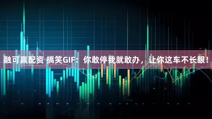 融可赢配资 搞笑GIF：你敢停我就敢办，让你这车不长眼！